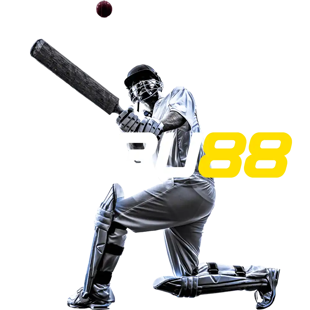 At Babu88 you can always bet on cricket.